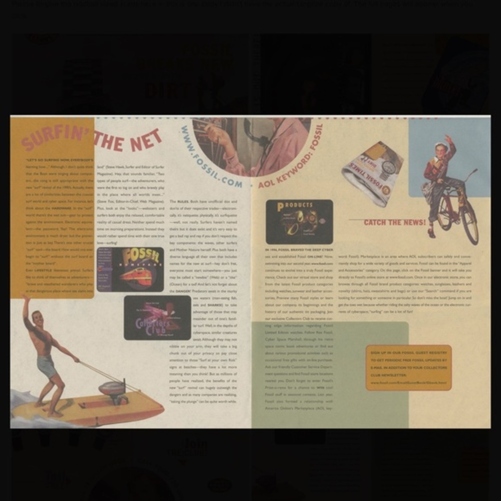 >FOSSIL LIBRARY< - Picture 9 of 10